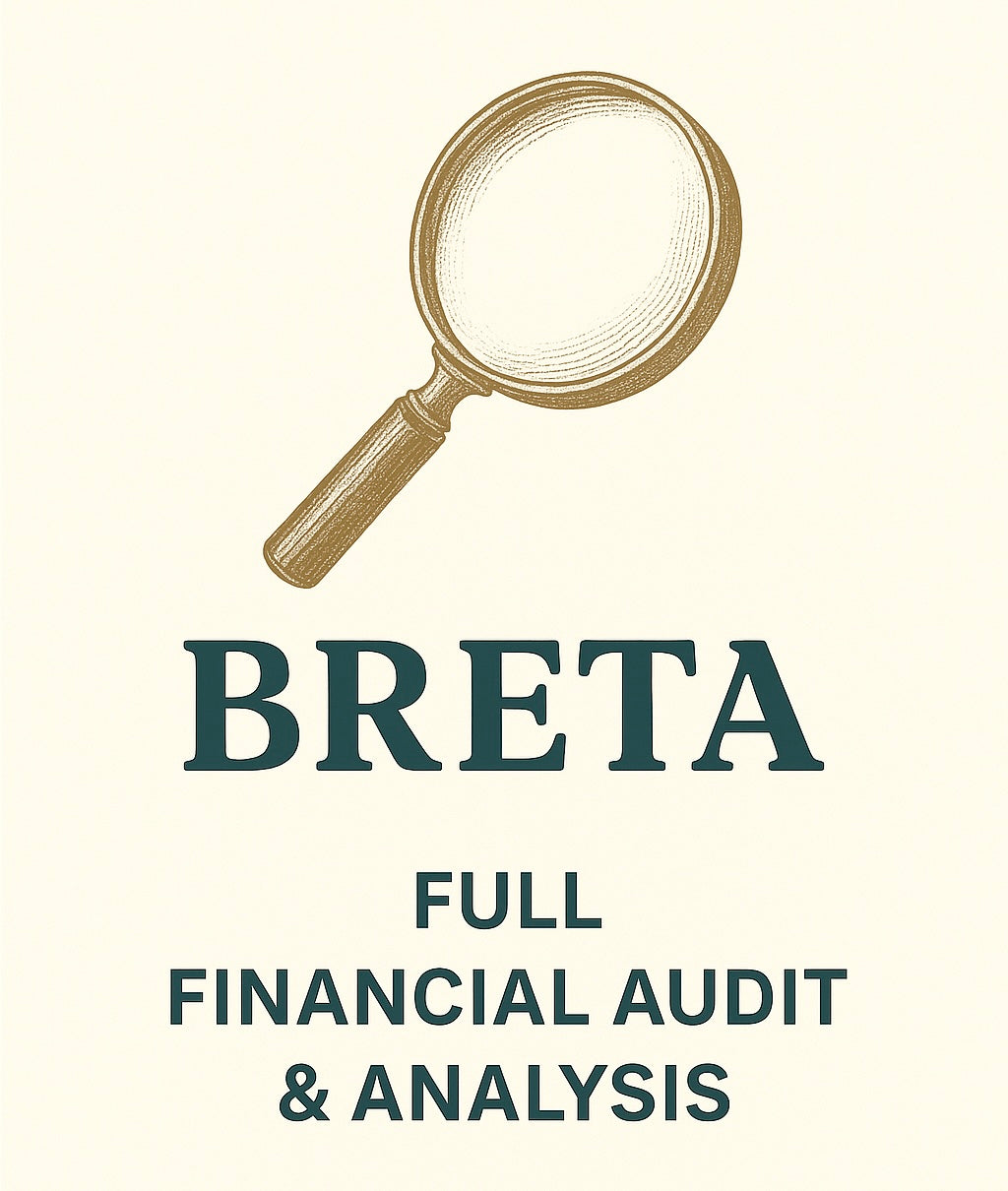 Full financial audit & analysis